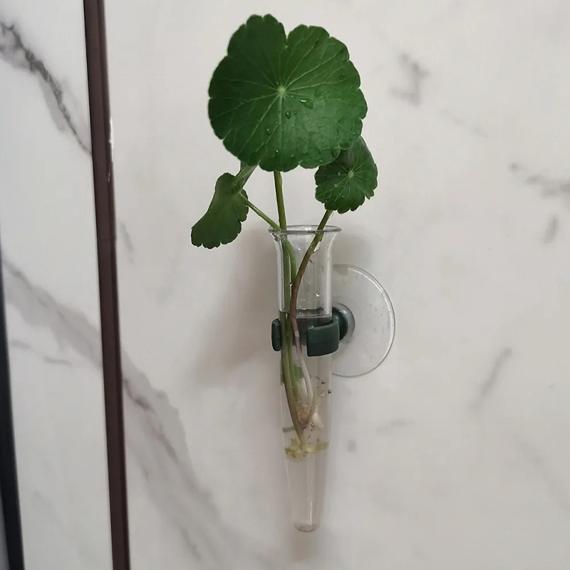 11cm 플로럴 워터 튜브 플라스틱 영양 공급 용기 흡 - Nutrition & Fitness Hub Photos 리뷰 및 가격