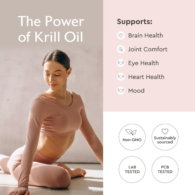 남극 크릴 오일 500mg 인지질 보충제, EPA/DH - Krill Oil Supplement 리뷰 및 가격