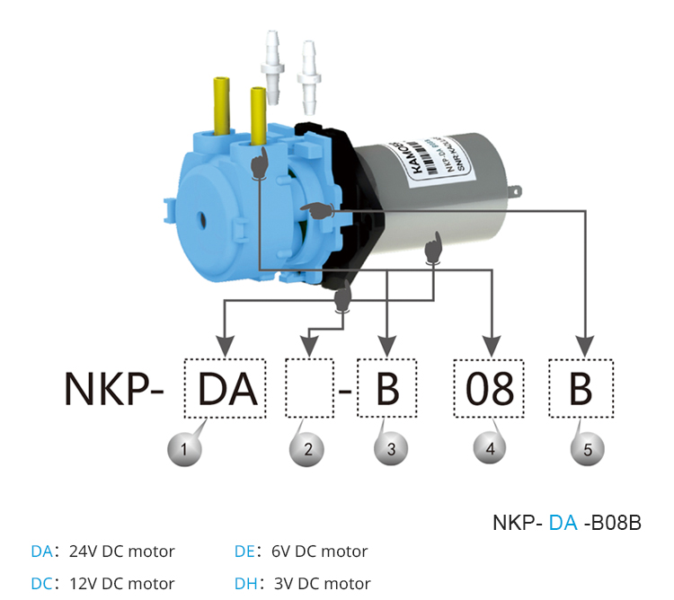 2026년형 NKP 6V 12V 24V DC 모터 컬러 - Nutrition & Fitness Hub Photos 리뷰 및 가격