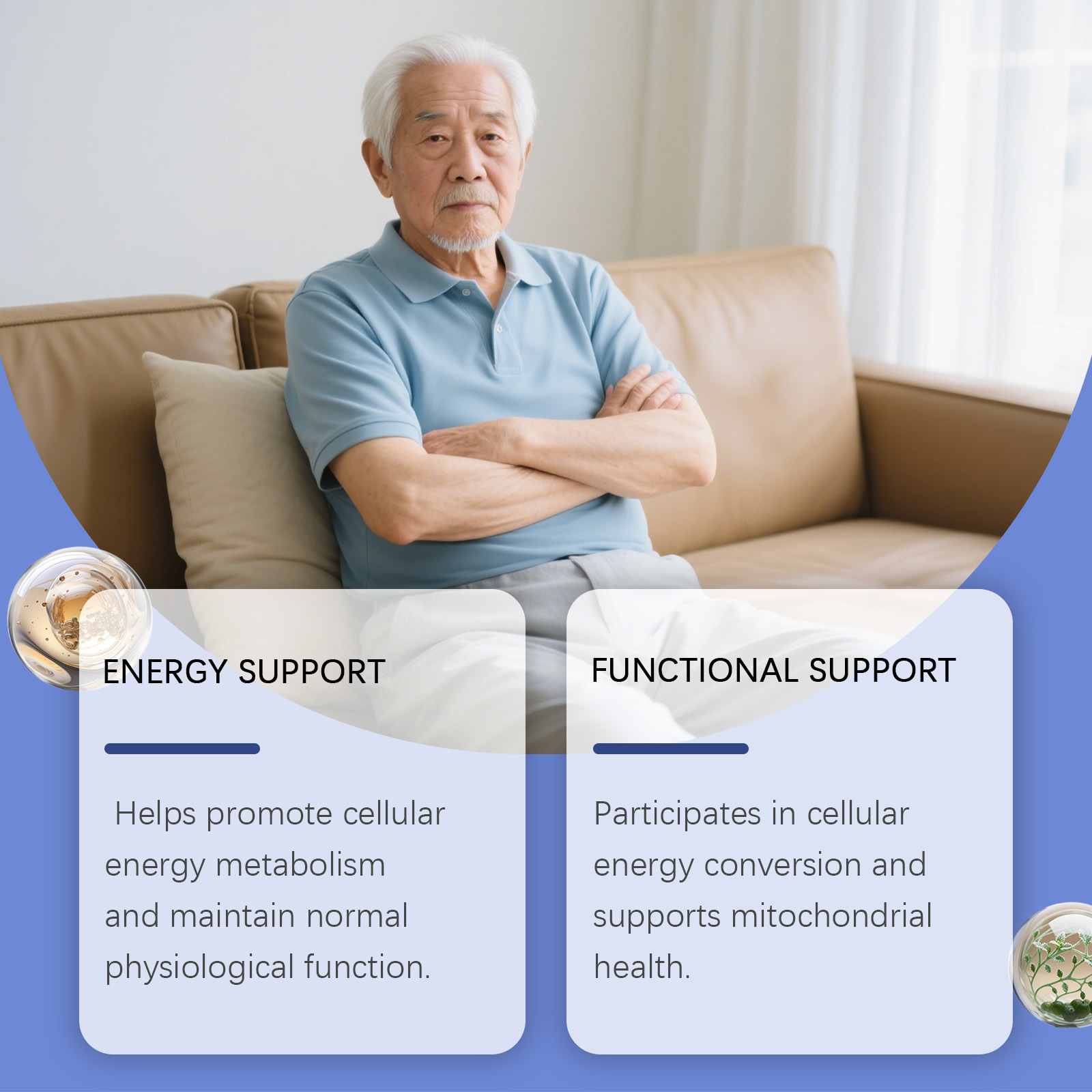 활력 증진 드롭스는 신진대사를 촉진하고, 집중력을 향상 - Nutrition Fitness And Health 리뷰 및 가격