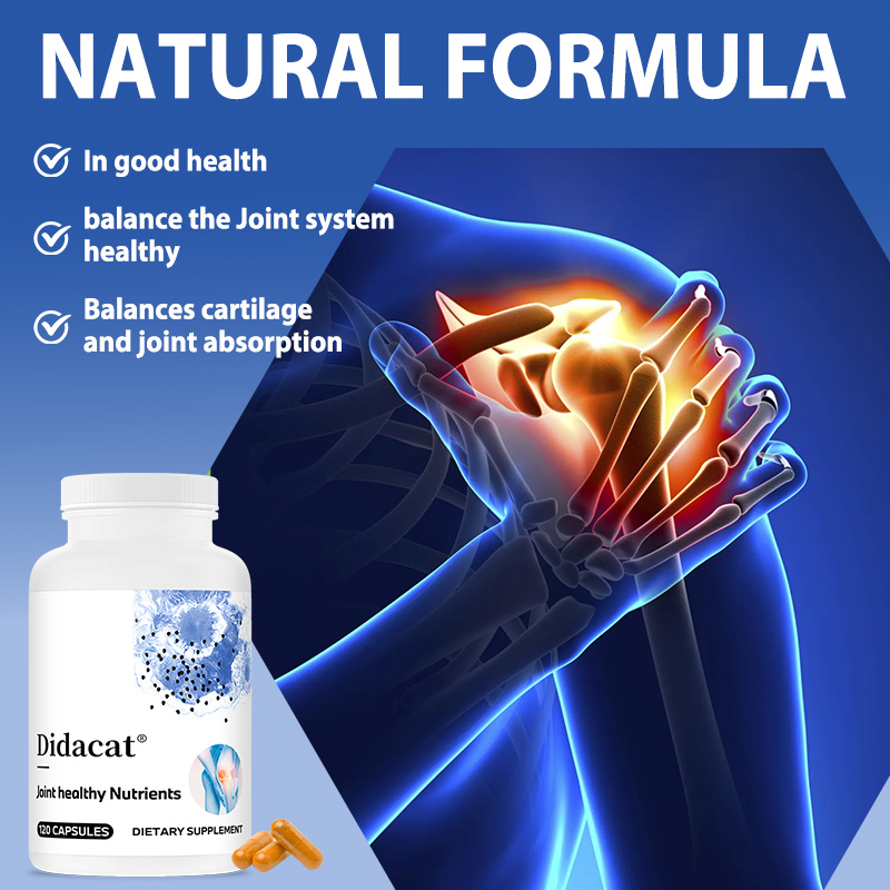 글루코사민 콘드로이틴 MSM과 강황 - 관절 기능 개선 - Turmeric Curcumin Capsule 리뷰 및 가격